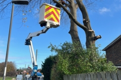 IMG_9665_0005_IMG_9625